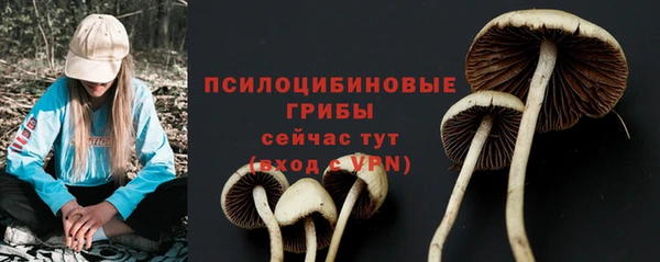 шишки Лиски