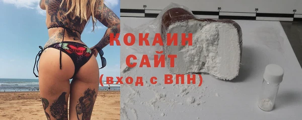 шишки Лиски