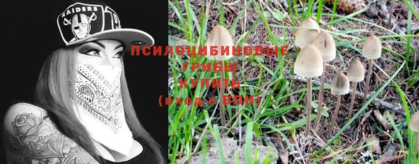 соль ск Липки