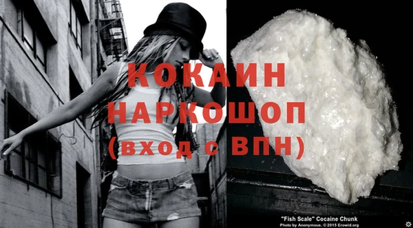 шишки Лиски