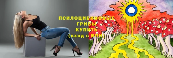 соль ск Липки