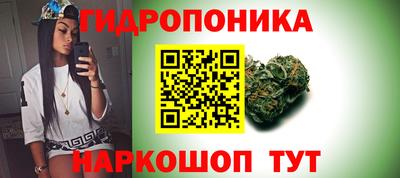 винт Кохма